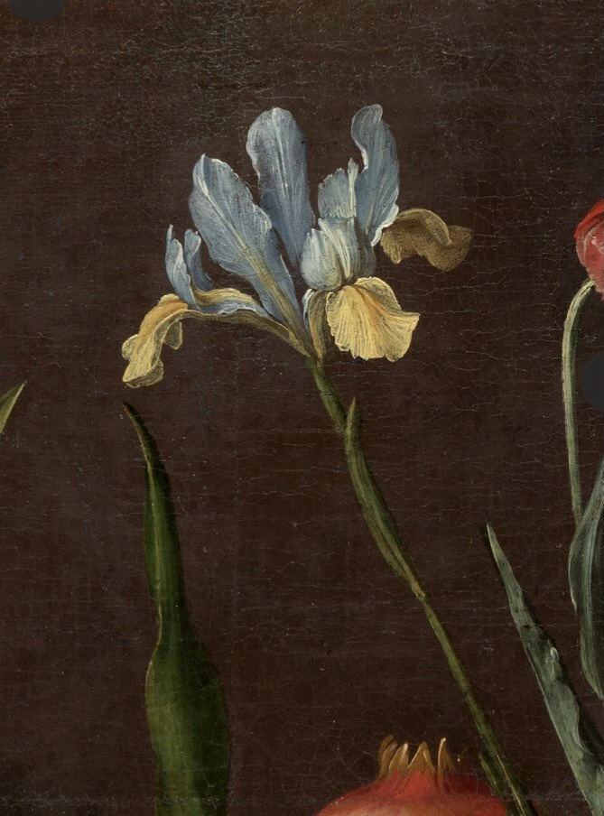 Natura morta con frutta e fiori - dettaglio